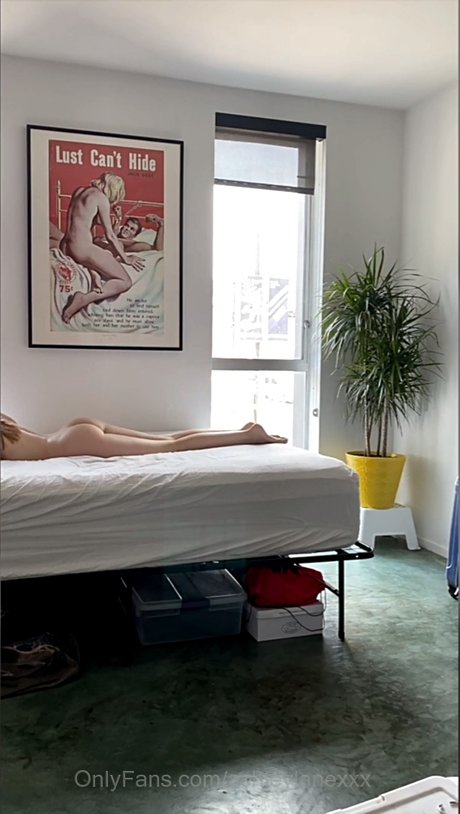 Foto di nudo di fuga di OnlyFans di Ashley Lane
