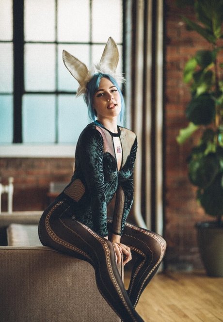 Rosemoontv