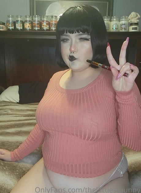 Foto di nudo di fuga di OnlyFans di Thel1ttlestbunny