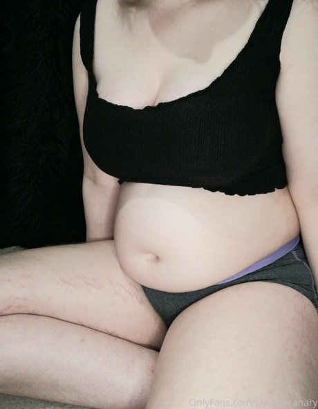Chubbycanary
