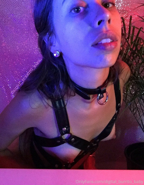 Digital_burrito_baby