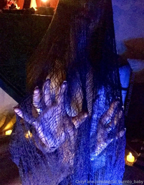 Digital_burrito_baby