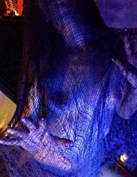 Digitalburritobaby