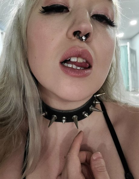 Fitxkitten