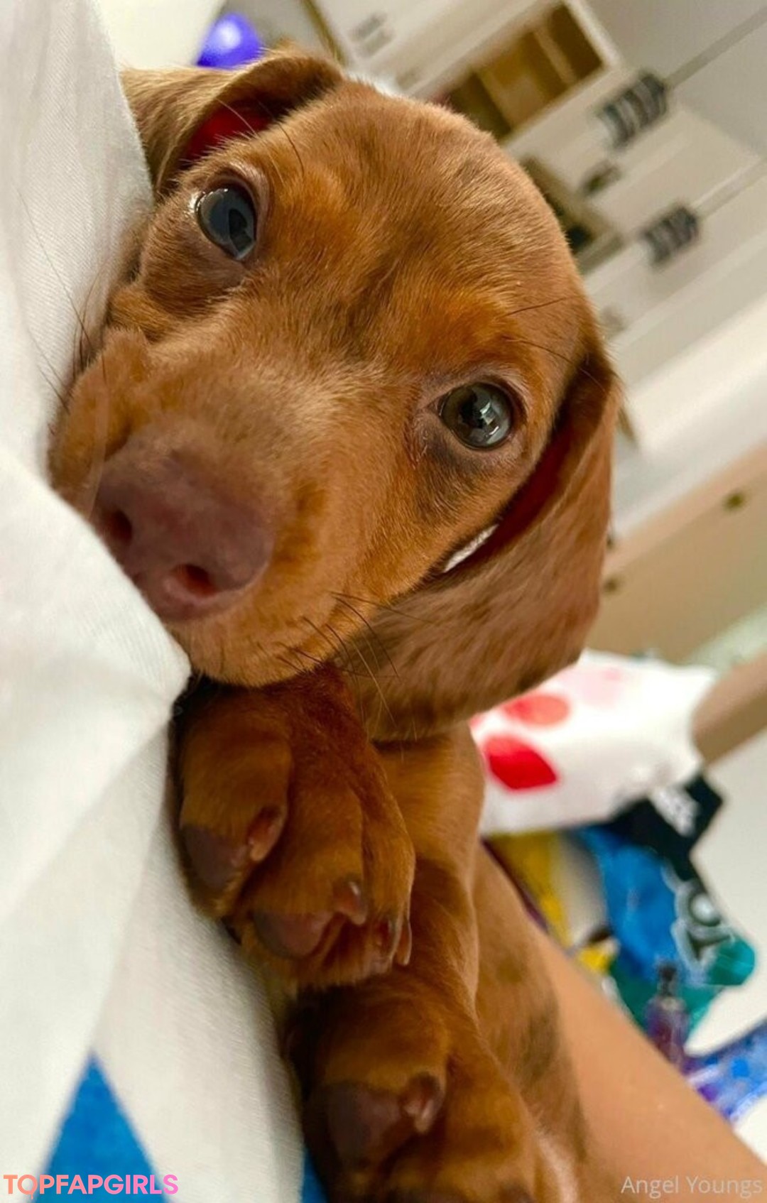 Foto di nudo di fuga di OnlyFans di Angelyoungsxxx #109 Foto di nudo di fuga di OnlyFans di Angelyoungsxxx #109