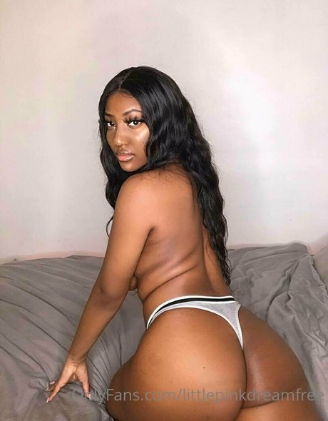 Foto di nudo di fuga di OnlyFans di Littlepinkdreamfree