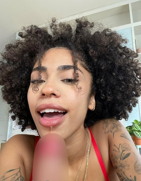 Thevenusmarquez