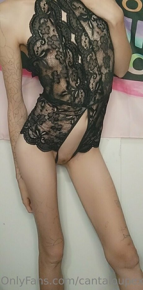 Cantaloupexo
