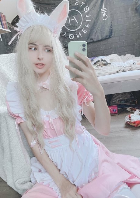 Petitetwink