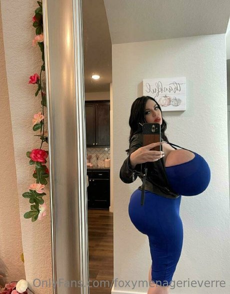 Foxy Menagerie Verre