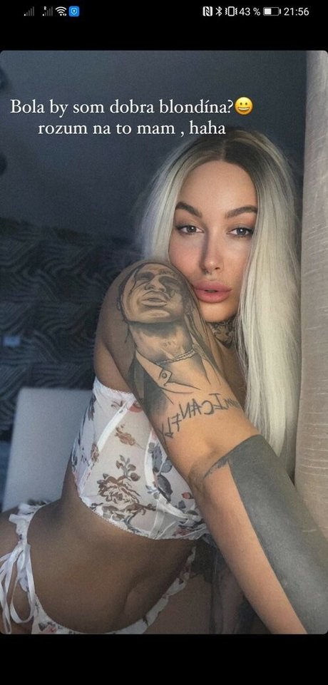 Foto di nudo di fuga di OnlyFans di Barbbunny