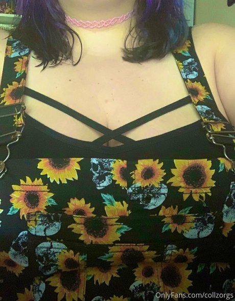 Foto di nudo di fuga di OnlyFans di Collzorgs