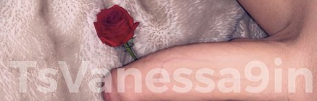 Foto di nudo di fuga di OnlyFans di Vanessa9in