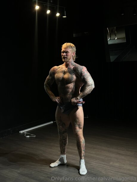 Therealvanillagorilla