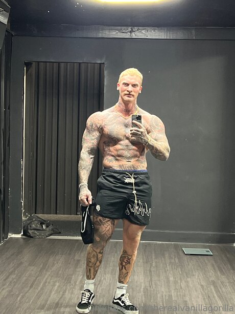 Therealvanillagorilla