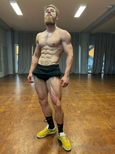 Foto di nudo di fuga di OnlyFans di Ilyamadris