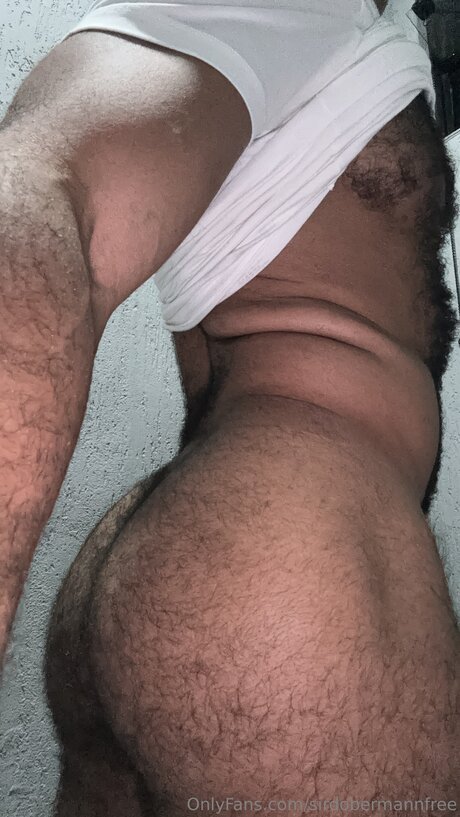 Foto di nudo di fuga di OnlyFans di Sirdobermannfree
