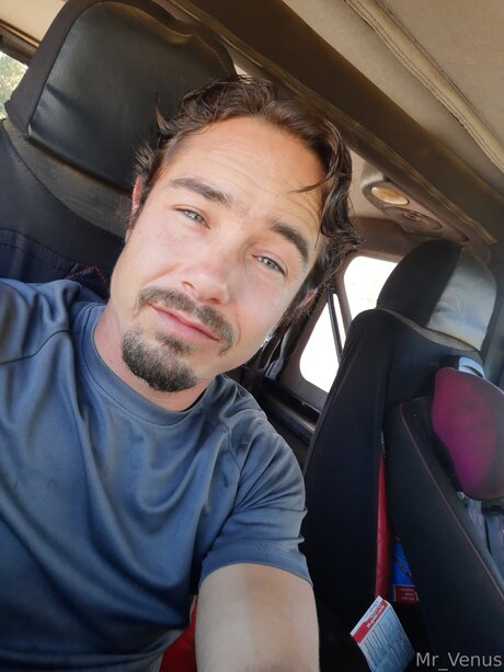 Mr Venus