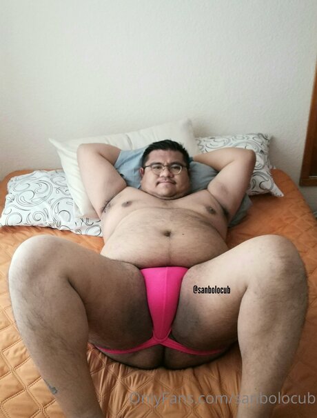 Sanbolocub