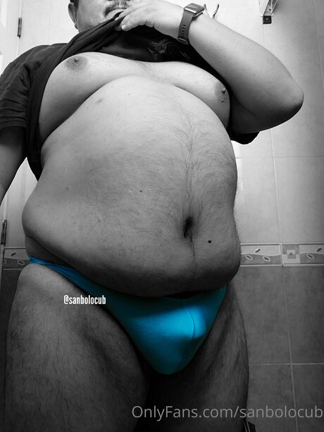 Sanbolocub