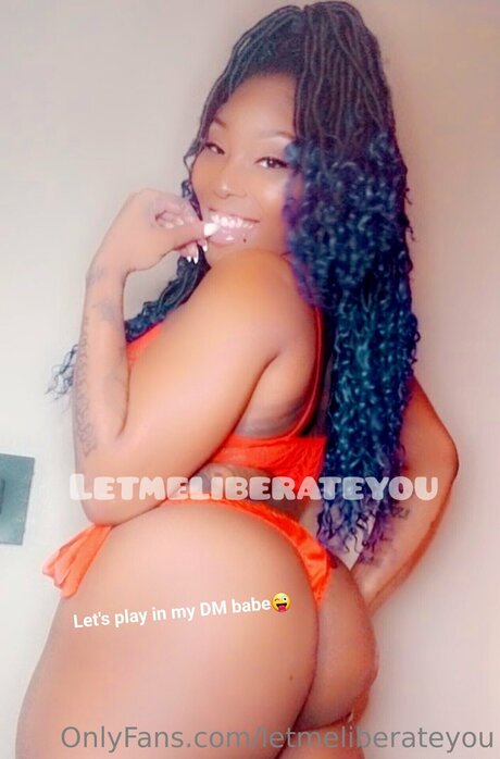 Letmeliberateyou