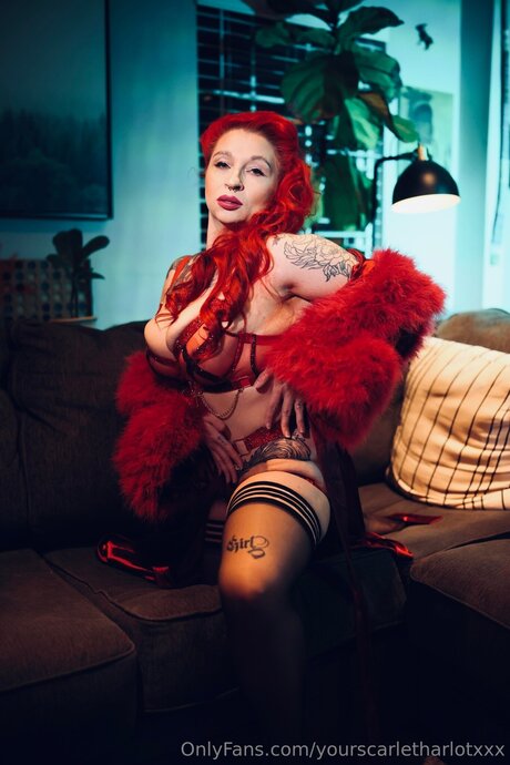 Yourscarletharlotxxx