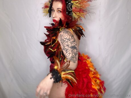 Yourscarletharlotxxx