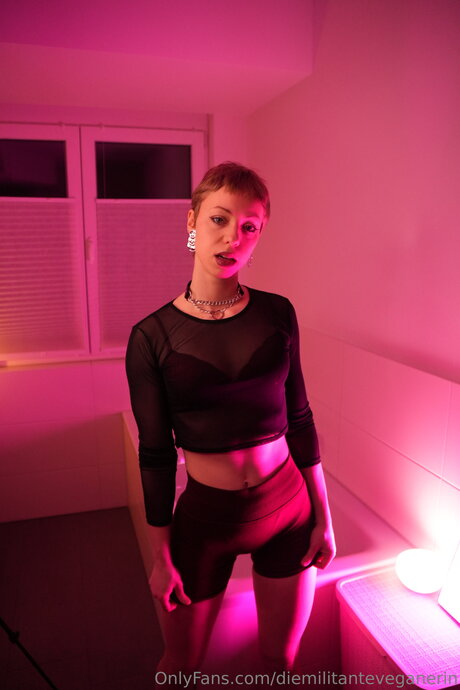 Diemilitanteveganerin