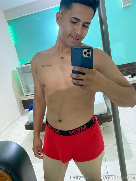 Foto di nudo di fuga di OnlyFans di Elgatojefrey