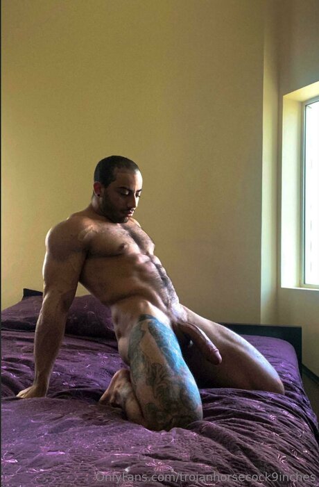 Trojanhorsecock9inches