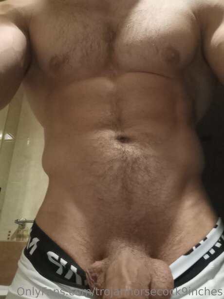 Trojanhorsecock9inches