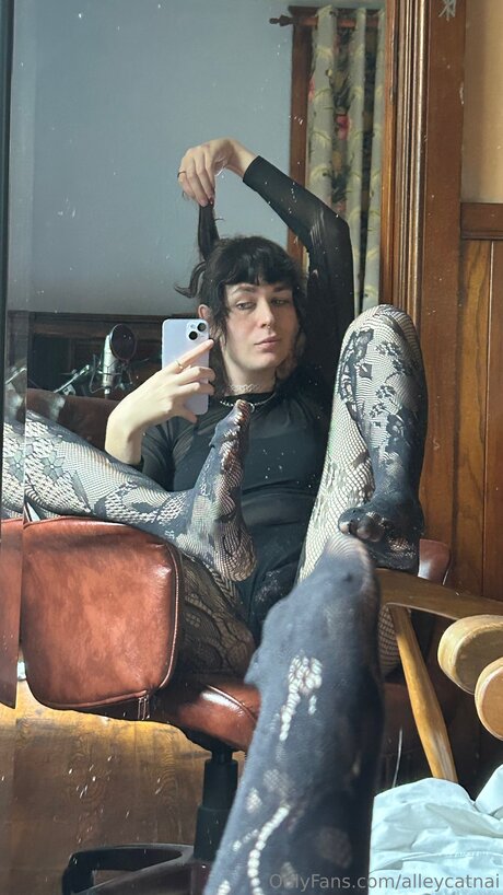 Alleycatnai