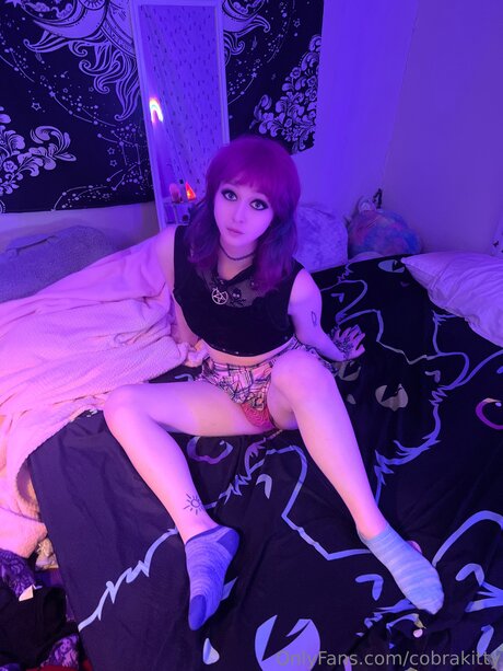 Cobrakitty