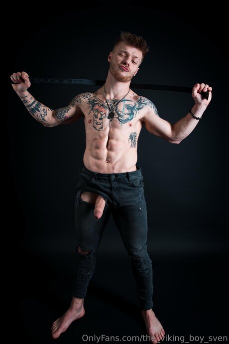 The Viking Boy Sven
