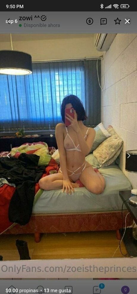 Foto di nudo di fuga di OnlyFans di Zoeistheprincess
