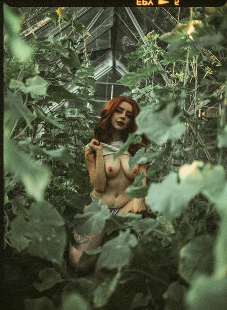 Cherrievelvet Cherrie