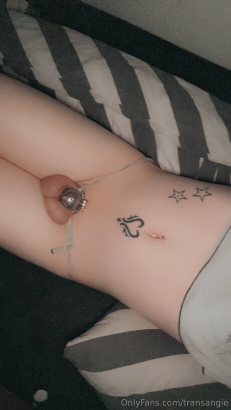 Transangie