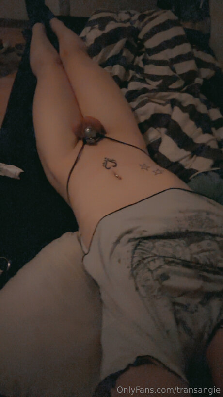 Transangie