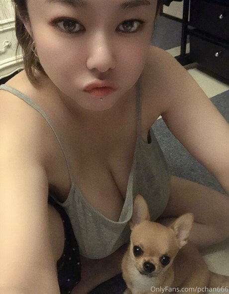 Pchan666