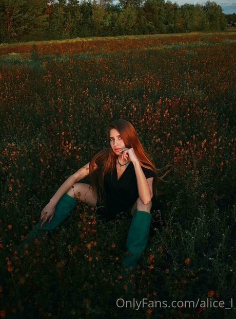 Alice_l