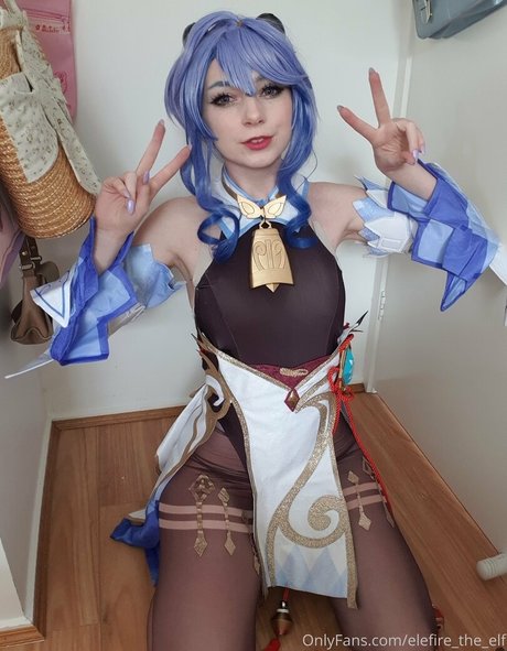 Elefiretheelf