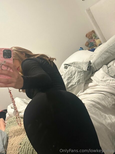 Lowkeycelys