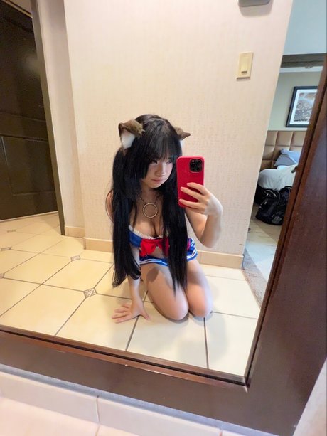 Angelicat