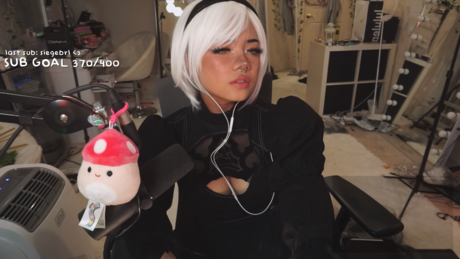 Angelicat