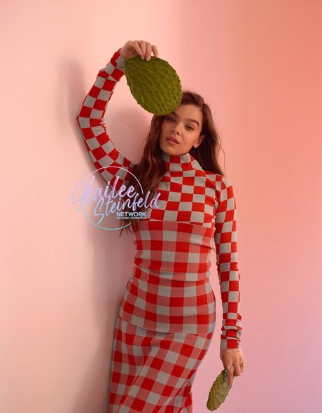 Foto di nudo di fuga di OnlyFans di Hailee Steinfeld