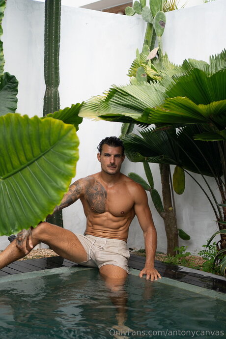 Foto di nudo di fuga di OnlyFans di Antonycanvas
