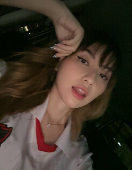 Swansage
