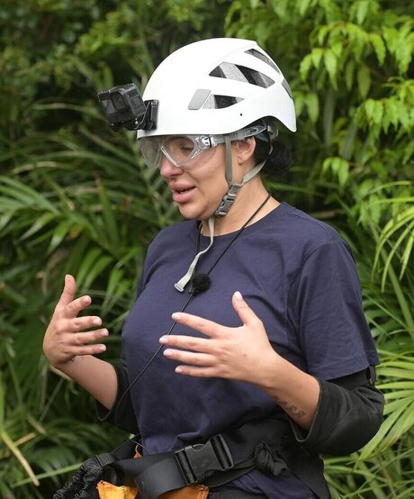 Ich Bin Ein Star  Holt Mich Hier Raus