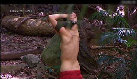 Ich Bin Ein Star  Holt Mich Hier Raus