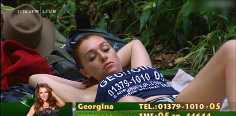 Ich Bin Ein Star  Holt Mich Hier Raus